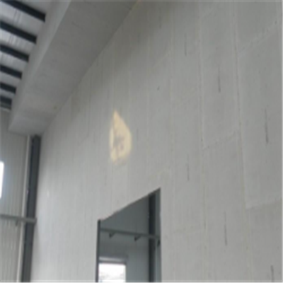 儋州宁波ALC板|EPS加气板隔墙与混凝土整浇联接的实验研讨